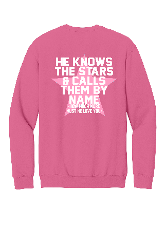 Lipan FCA Pink Crewneck 26