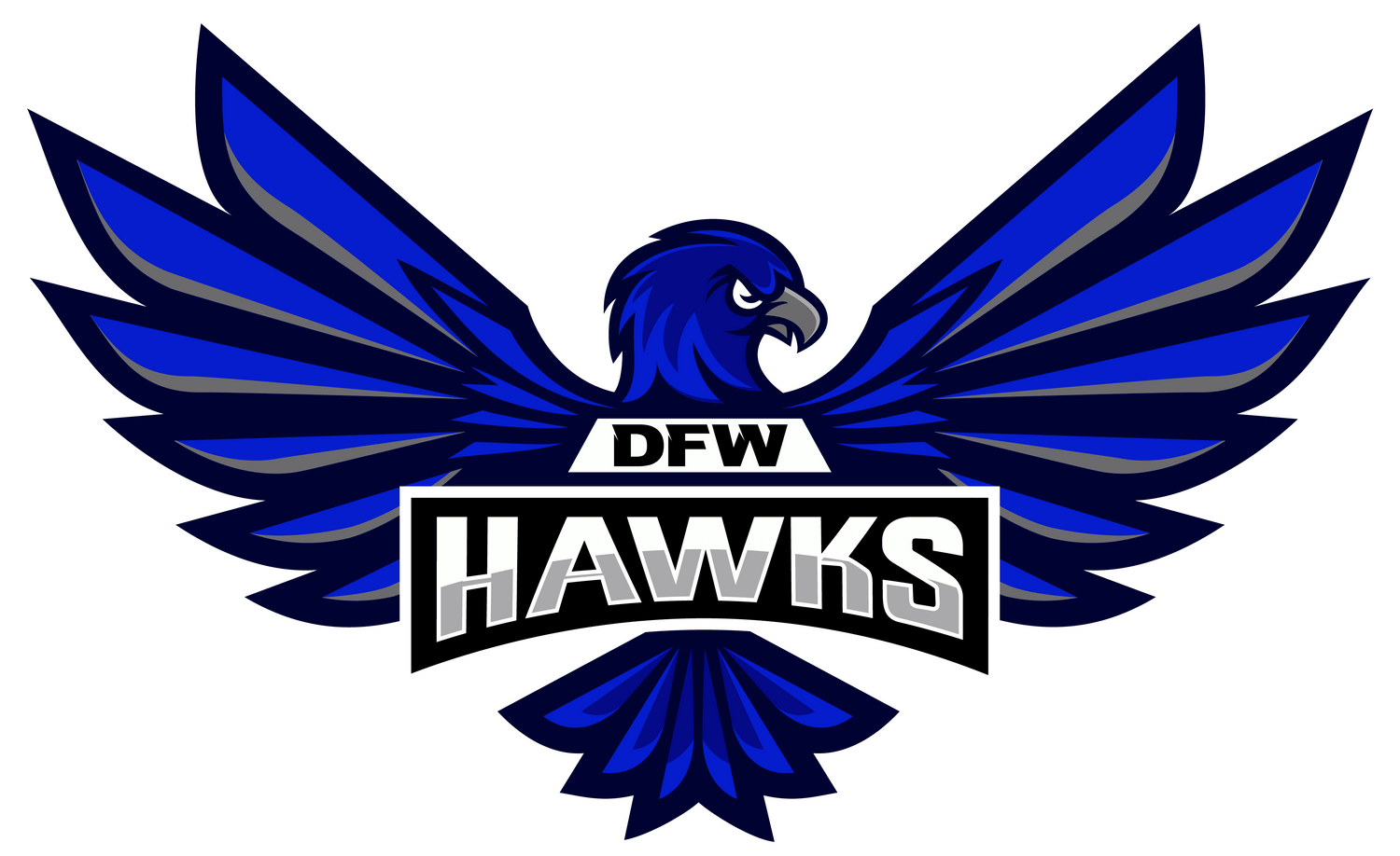 DFW Hawks
