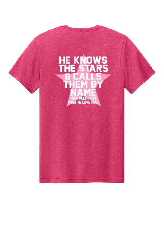 FCA Short Sleeve Softstyle T-shirt Pink 26